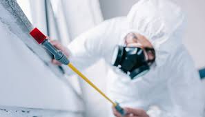 Best Pest Control for Multi-Family Homes  in Dunn Loring, VA